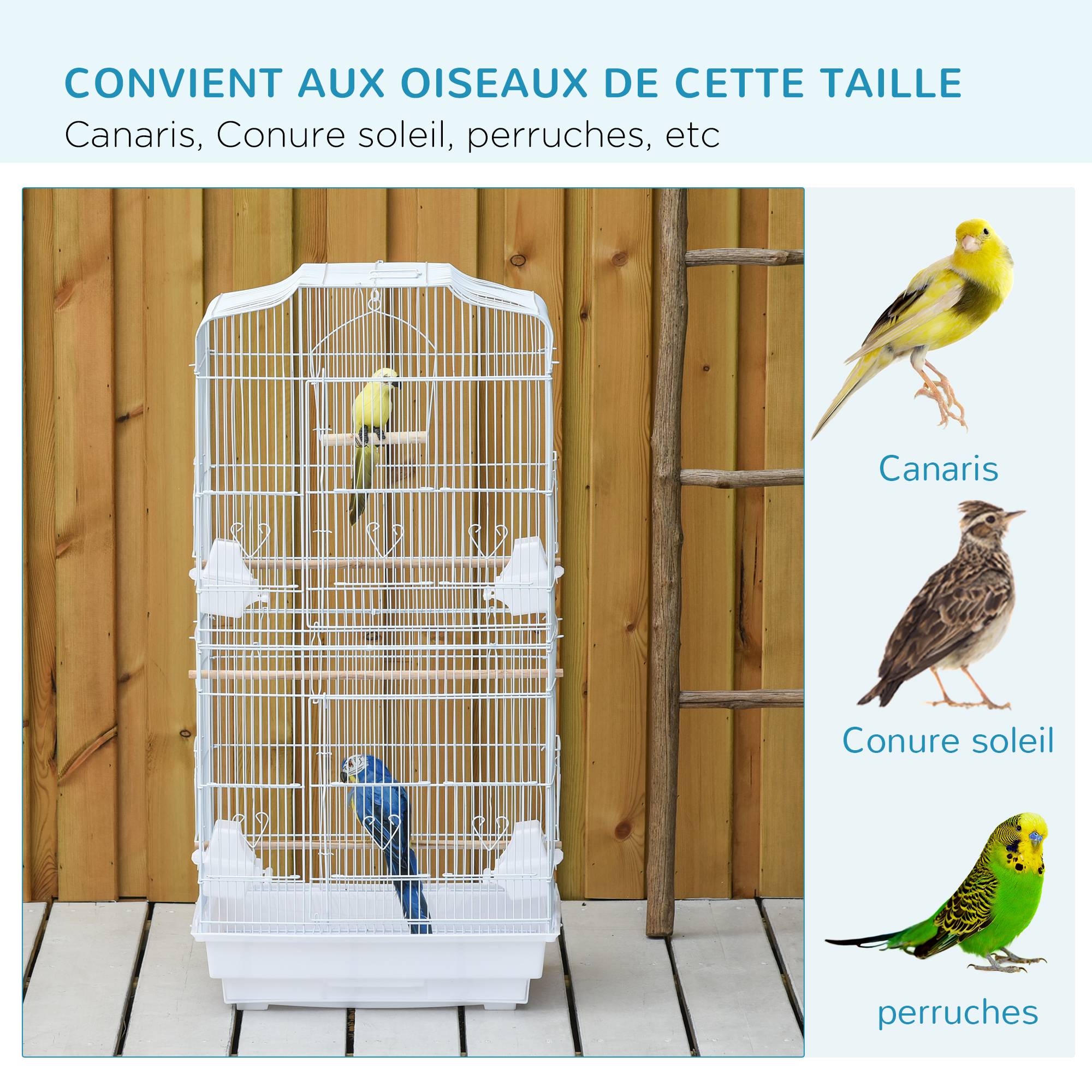 Sans Marque - Cage à oiseaux volière avec mangeoires perchoirs plateau excrément amovible cage pour canaris perruches perroquets 46,5 x 35,5 x 92 cm blanc - Image 9