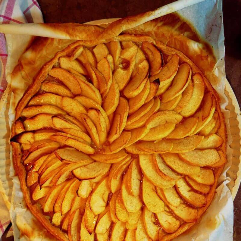 Collection 3 Fruitiers Spécial Gâteaux - Scion de 150cm - Pépinières Naudet - Image 5