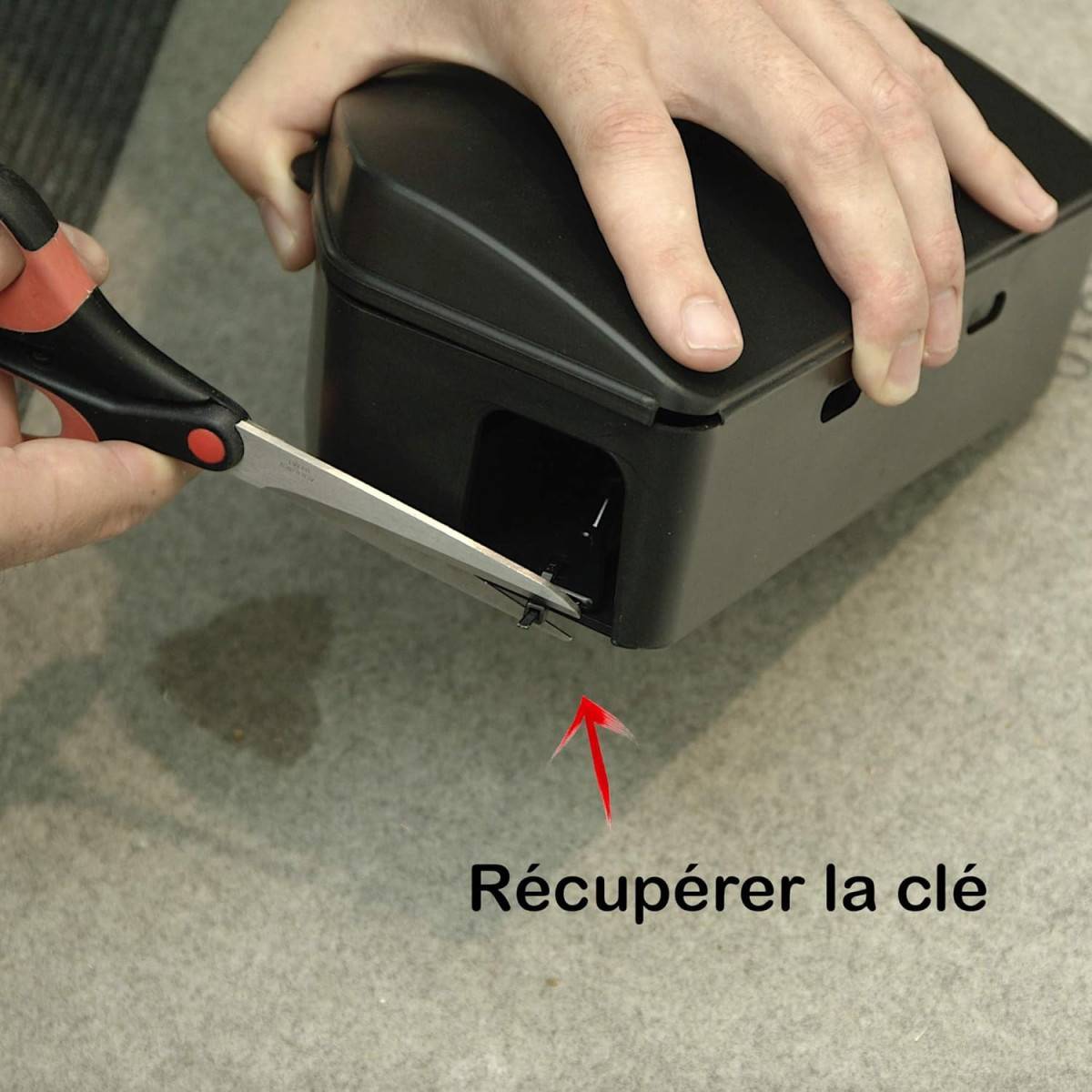 Raticide canadien 720 g et boîte sécurisée : votre allié anti-rongeurs - Image 3