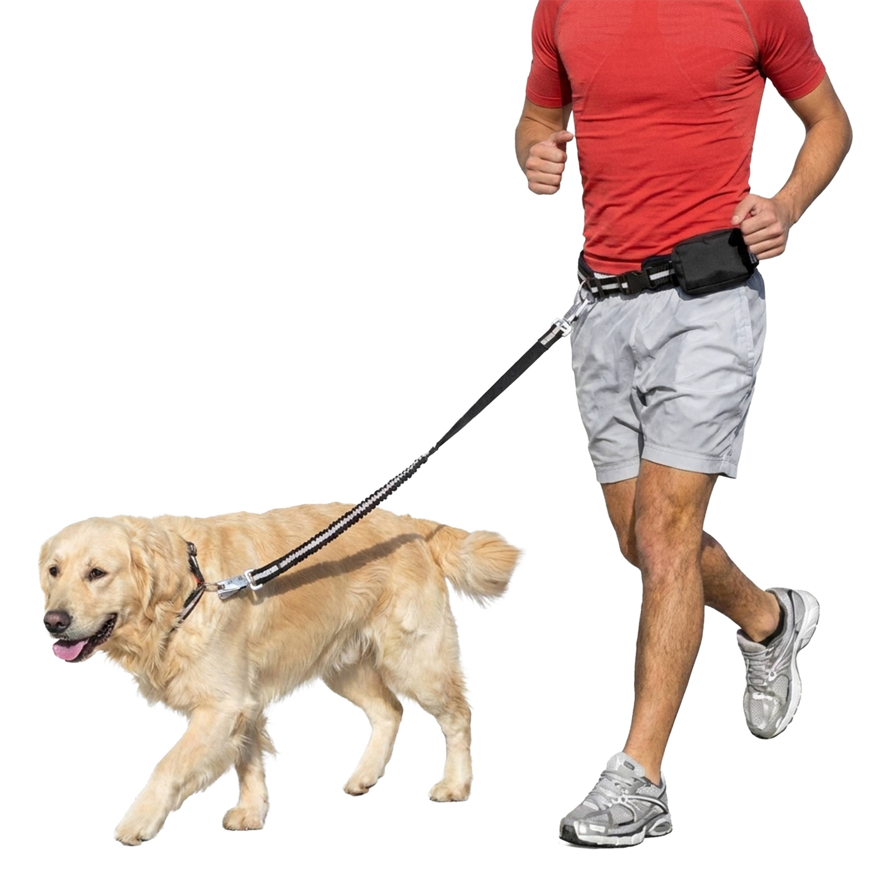 Ferplast - Ferplast ERGOCOMFORT FREETIME Laisse pour chien de course, Complet avec ceinture et sac de rangement, Extrémité élastique, Ø 70÷130 cm - B: 25 mm x L - Image 4