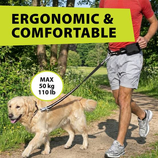Ferplast - Ferplast ERGOCOMFORT FREETIME Laisse pour chien de course, Complet avec ceinture et sac de rangement, Extrémité élastique, Ø 70÷130 cm - B: 25 mm x L - Image 5