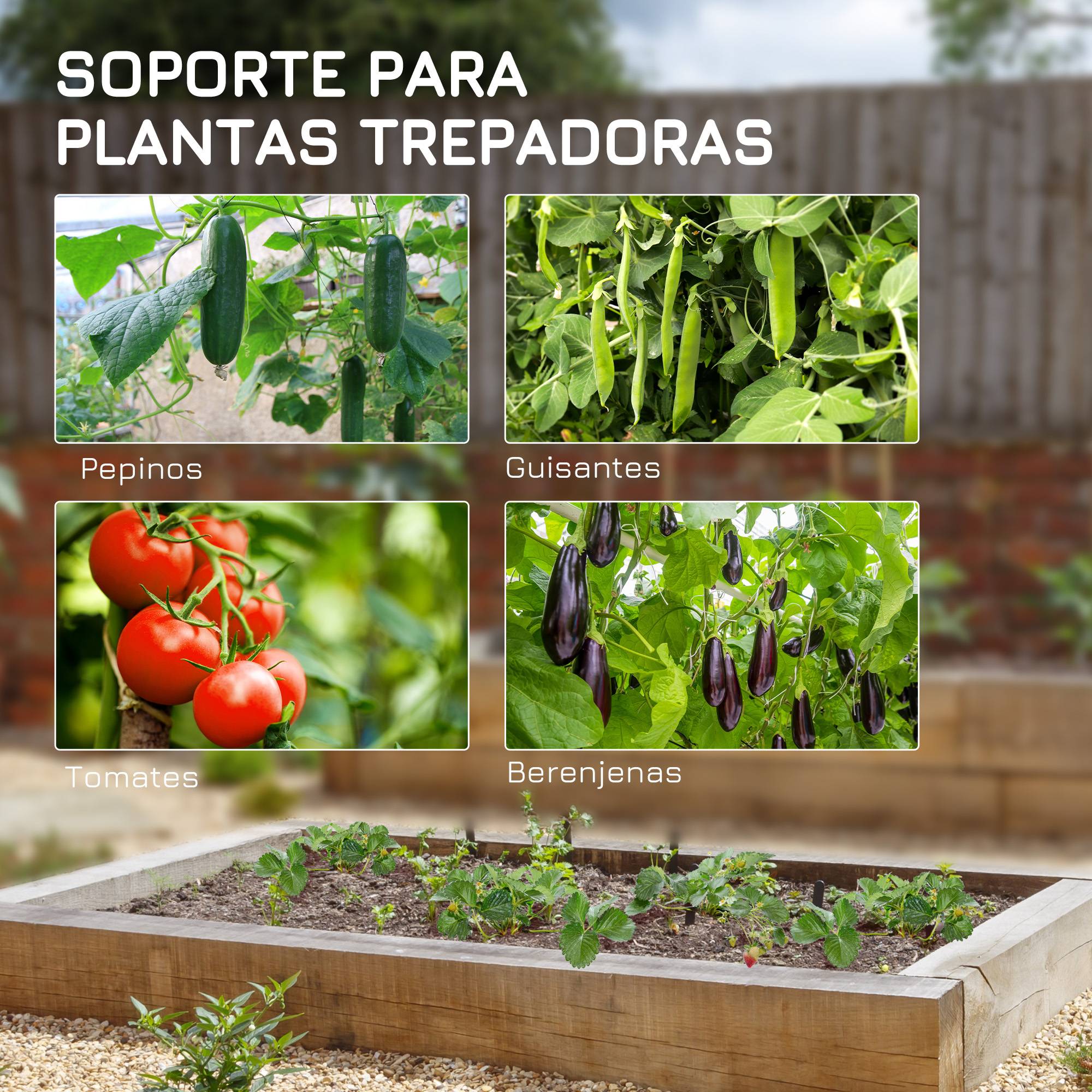 ComfortXL - Support pour plantes grimpantes acier vert 180 x 100 x 180 cm potager extérieur avec filet - ComfortXL Outdoor Living - Image 8