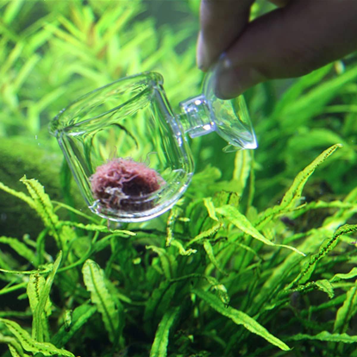 DtopbuyAge - Nourrisseur Plantes Aquatiques - 2 Tasses DtopbuyAge - Image 4