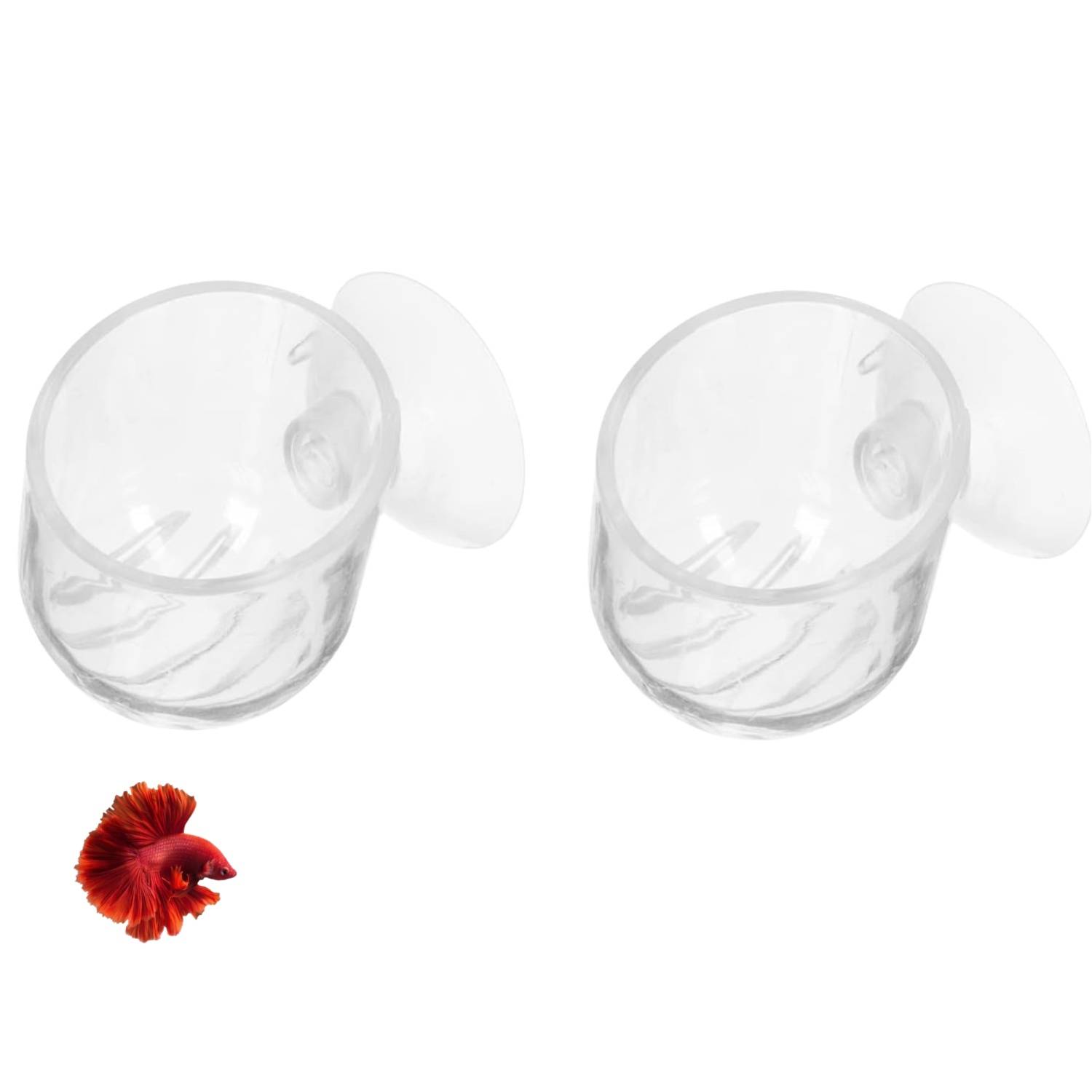 DtopbuyAge - Nourrisseur Plantes Aquatiques - 2 Tasses DtopbuyAge - Image 1