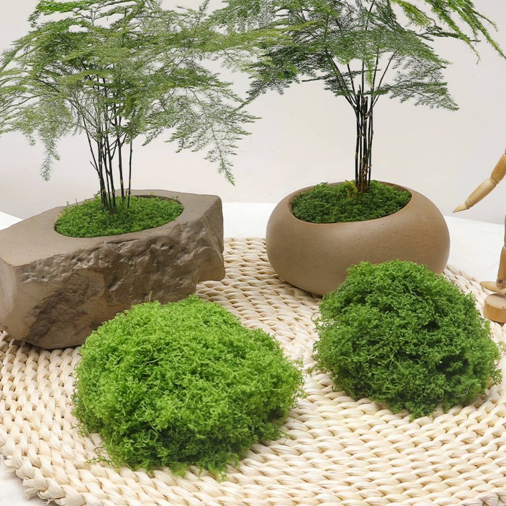 Mousse Artificielle pour Décoration de Jardin - Lot de 2 - Aspect Naturel et Sans Entretien - 40g - Lytech - Image 7