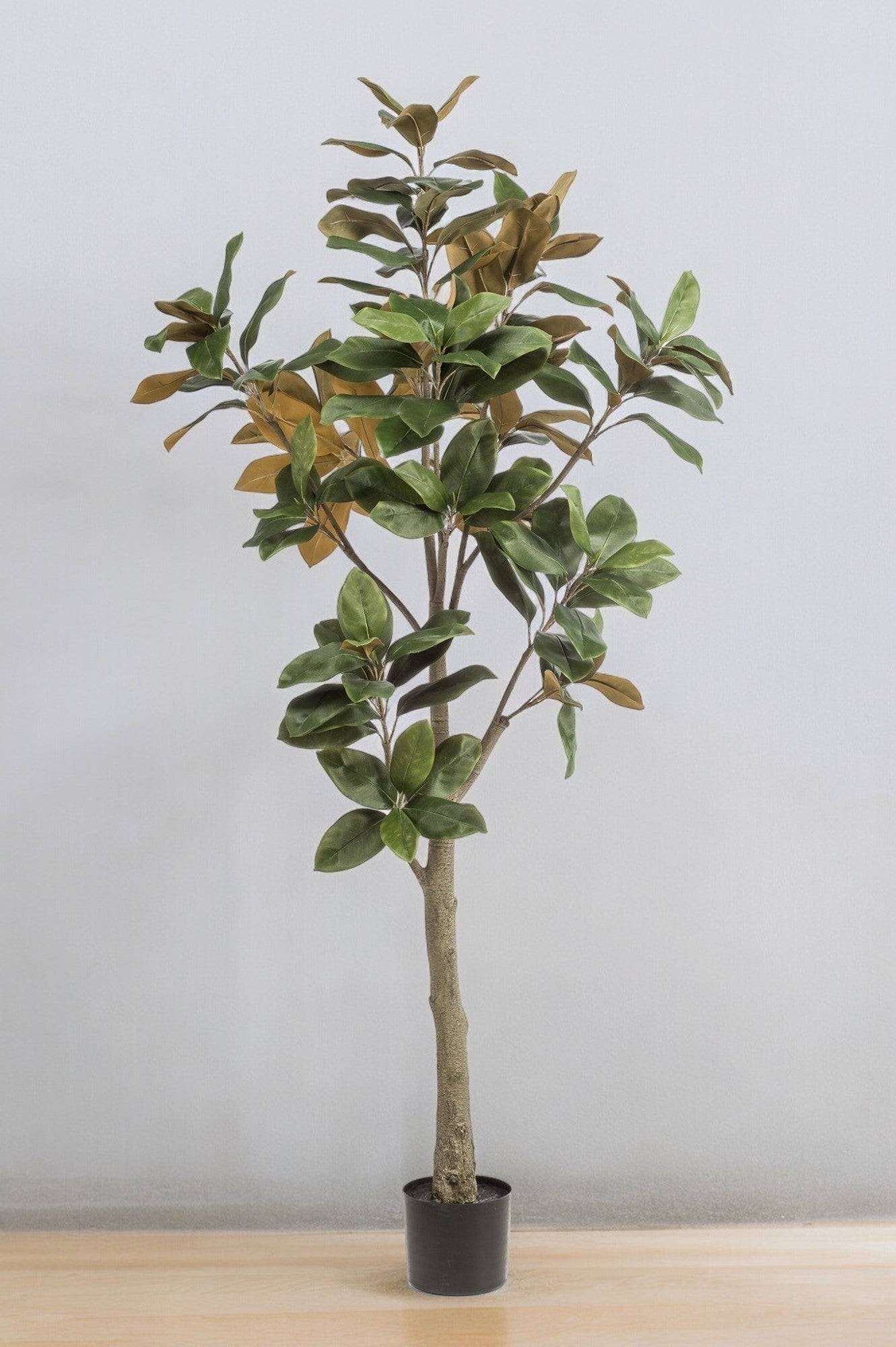 La Green Touch - Magnolia Grandiflora plante artificielle - h180cm, Ø15cm- La Green Touch