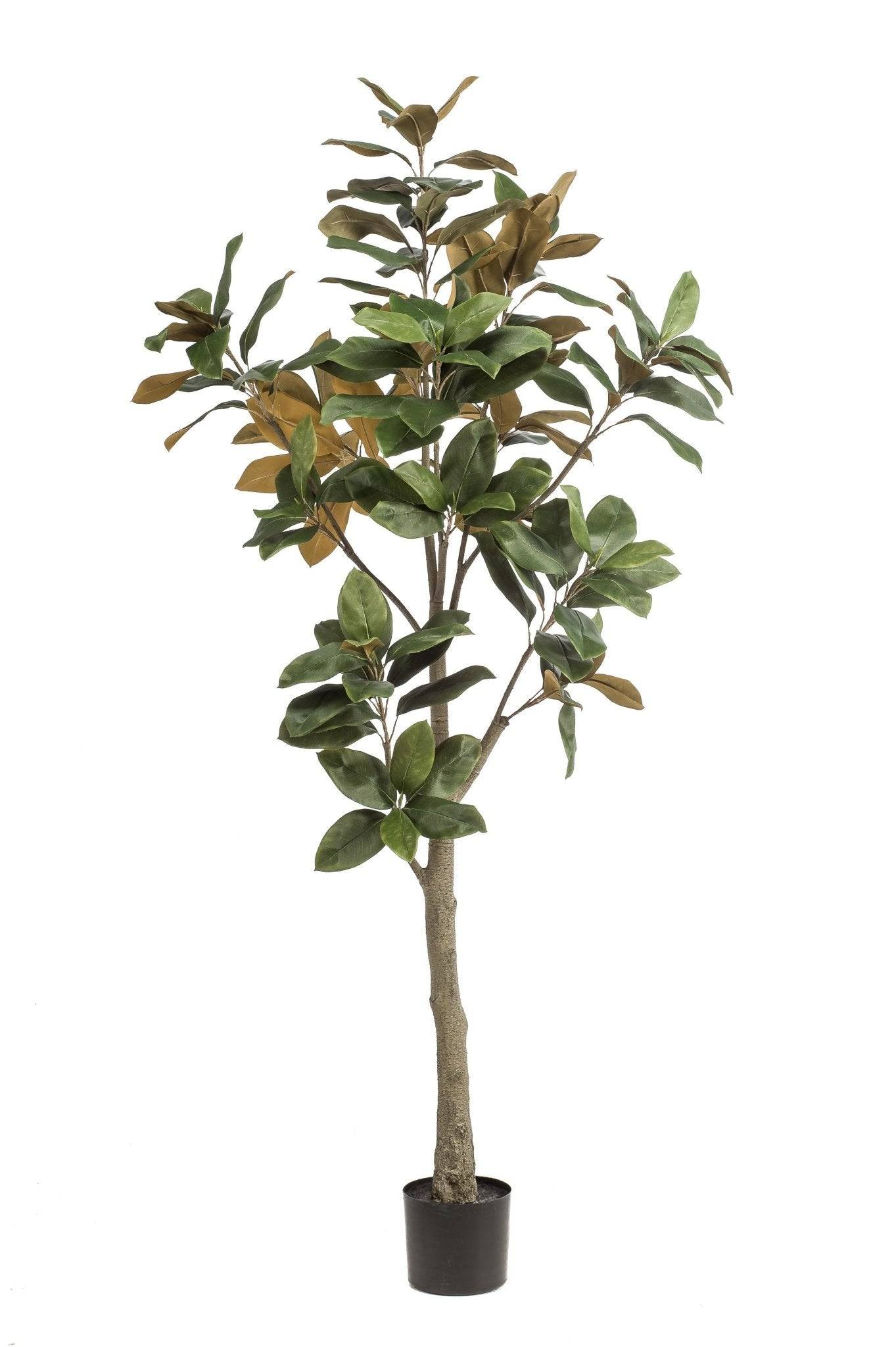 La Green Touch - Magnolia Grandiflora plante artificielle - h180cm, Ø15cm- La Green Touch - Image 4