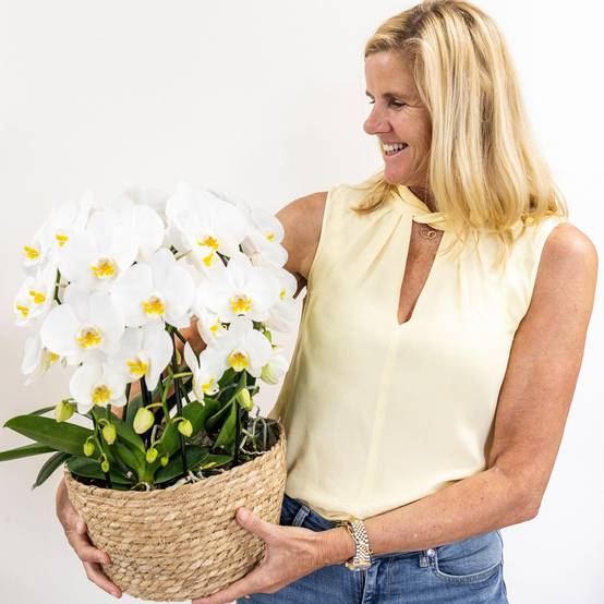 La Green Touch - Bouquet d'orchidées blanches en panier avec réservoir d'eau 55cm - Plante d'intérieur- La Green Touch - Image 2