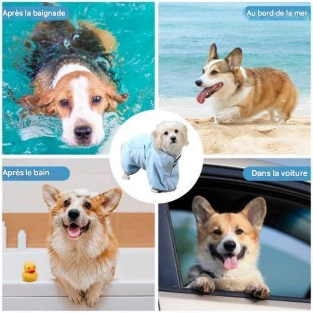 Peignoir Microfibre Bleu Pour Petit Chien - S - Image 3