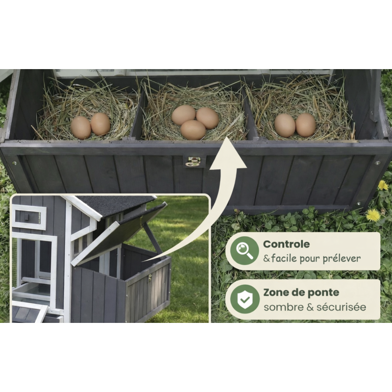 Poulailler en bois pour jardin extérieure 207x100x88cm Cage Canard avec Nichoir Modèle Franzi - Image 6
