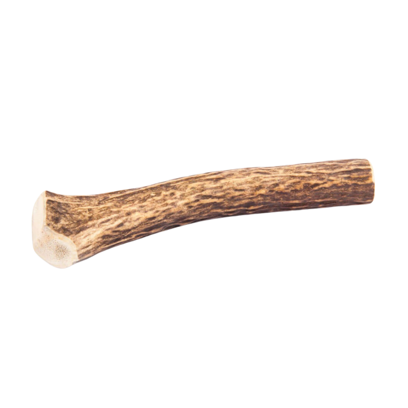 Bois de Cerf pour Chien XL 200-240g - Image 2