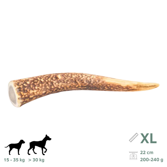 Bois de Cerf pour Chien XL 200-240g - Image 1