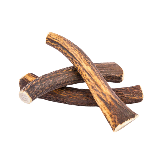 Bois de Cerf pour Chien XL 200-240g - Image 3