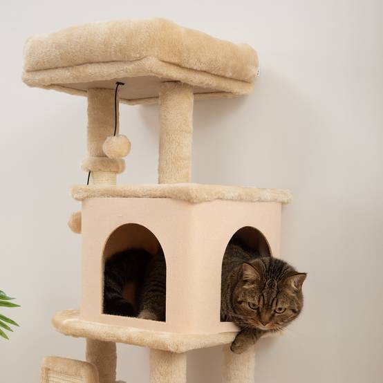 Arbre à chat sisal et peluche beige 44 x 34 x 104 cm - PANGIVO - Image 10