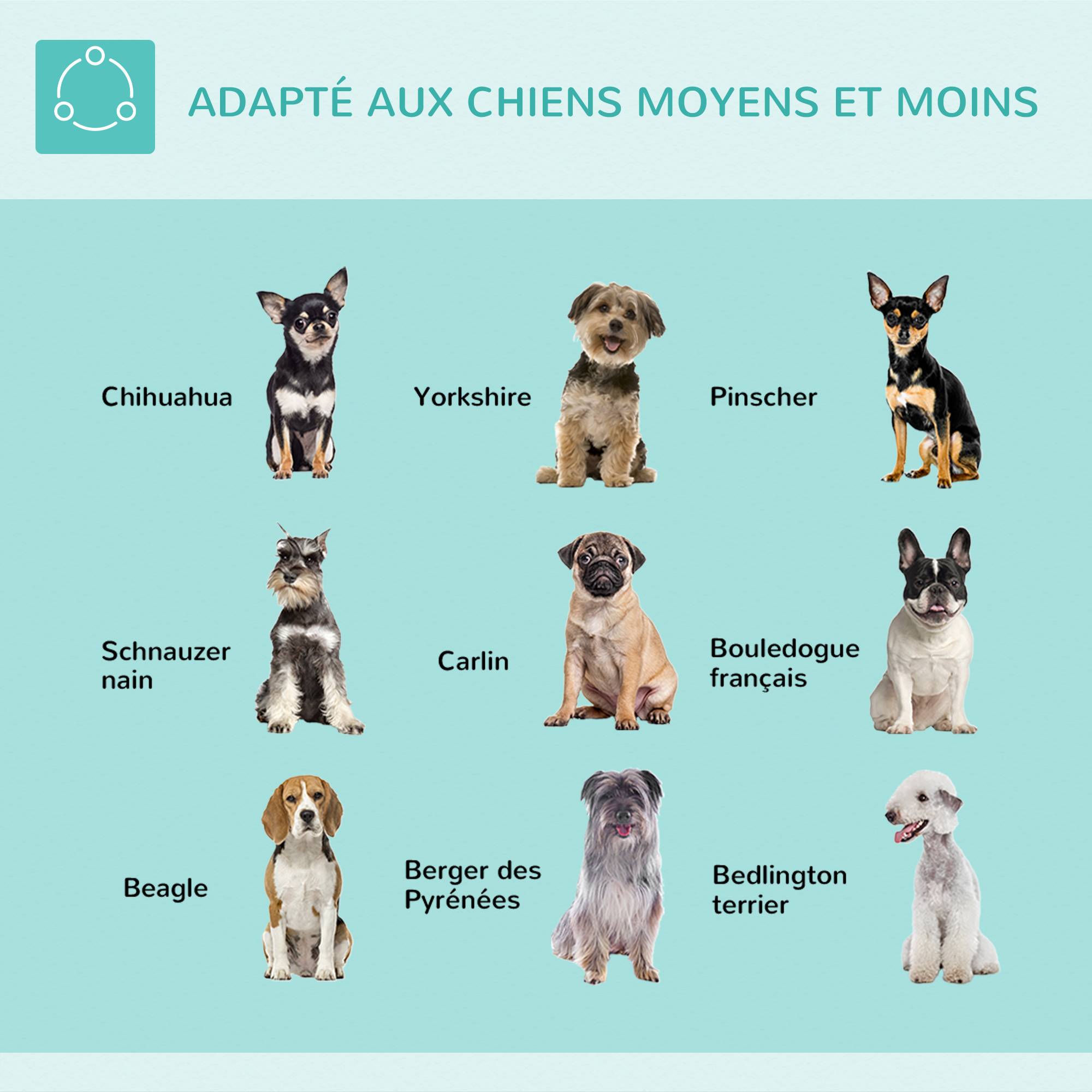 ComfortXL - Bras de toilettage chien aluminium réglable 74 cm pour table chiens petits et moyens pliable - ComfortXL Outdoor Living - Image 9