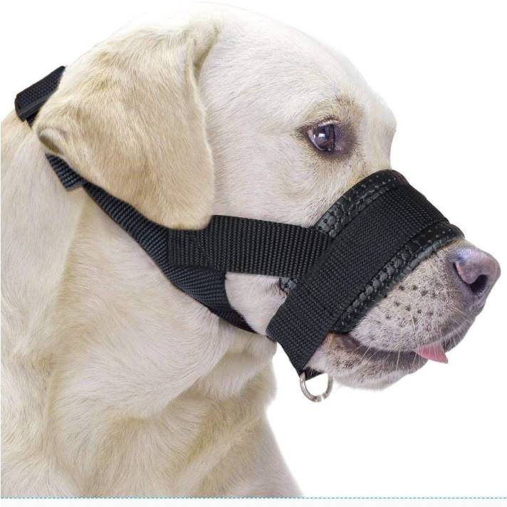 Muselière Ajustable pour Chien - Anti-Morsure & Léchage-Living123 - Image 2