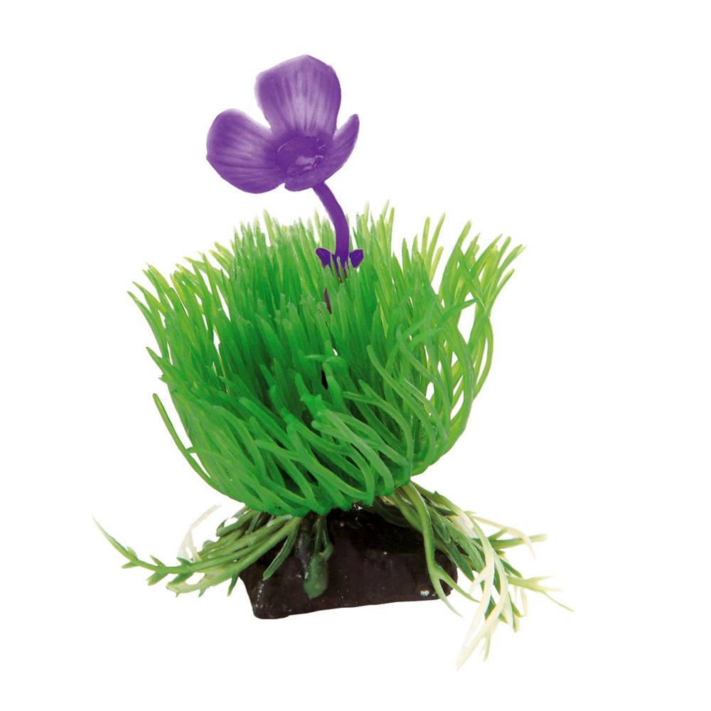 Ferplast - Décoration pour aquariums Ferplast BLU 9056 - ACORUS en plastique plante décoration