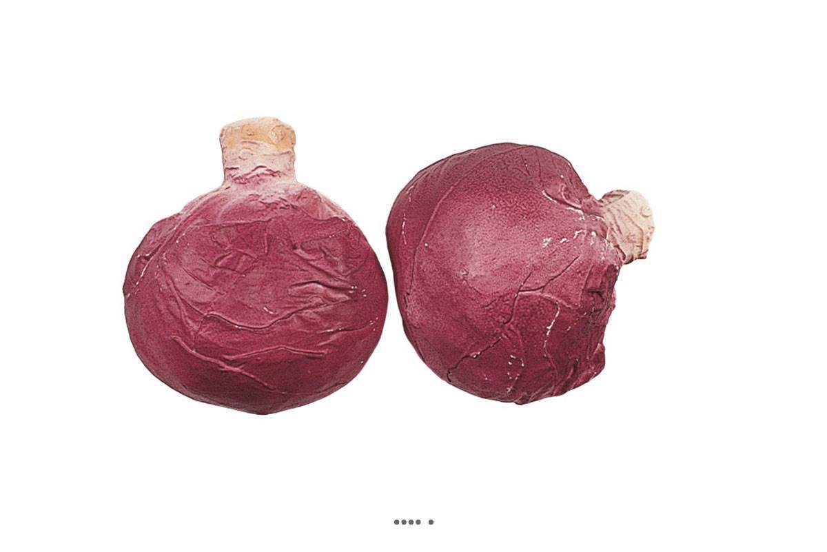 Artificielles - Choux rouge artificiel en lot de 2 en Plastique soufflé H 130x120 mm - Image 2