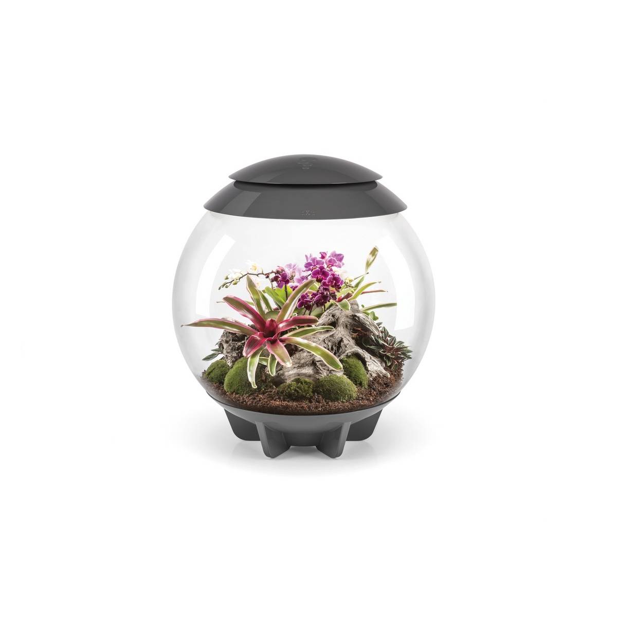 Oase - Terrarium décoratif 60l avec cadre gris AIR 60 GREY Oase - Image 1