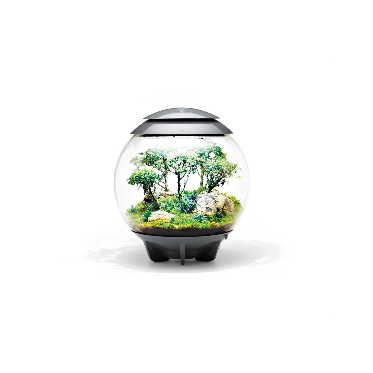 Oase - Terrarium décoratif 60l avec cadre gris AIR 60 GREY Oase - Image 3