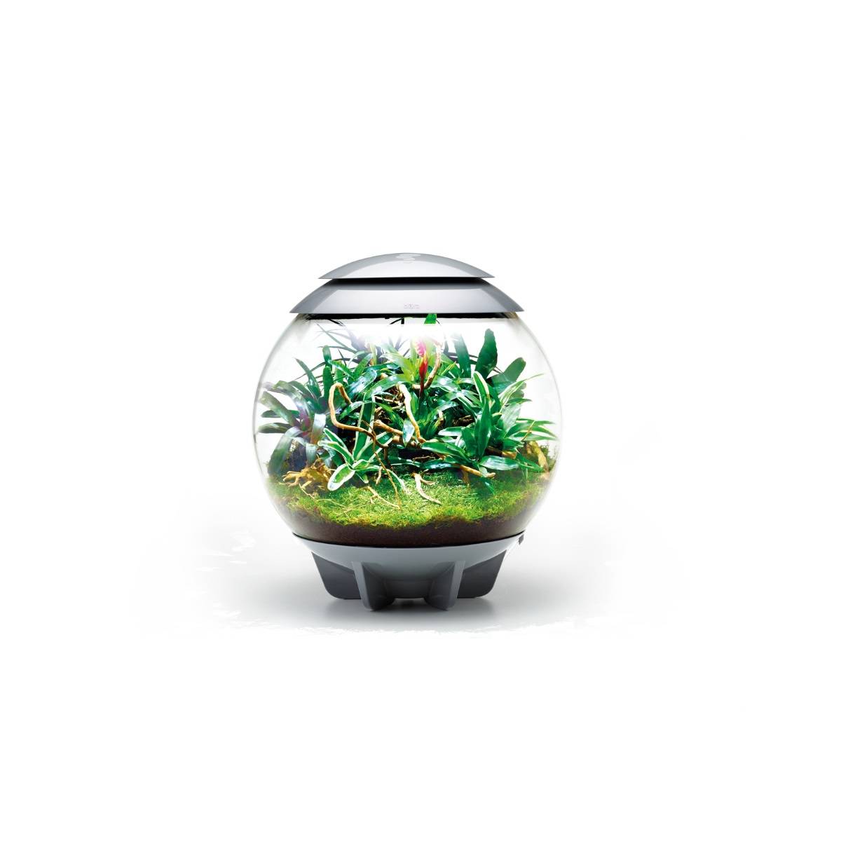 Oase - Terrarium décoratif 60l avec cadre gris AIR 60 GREY Oase - Image 4