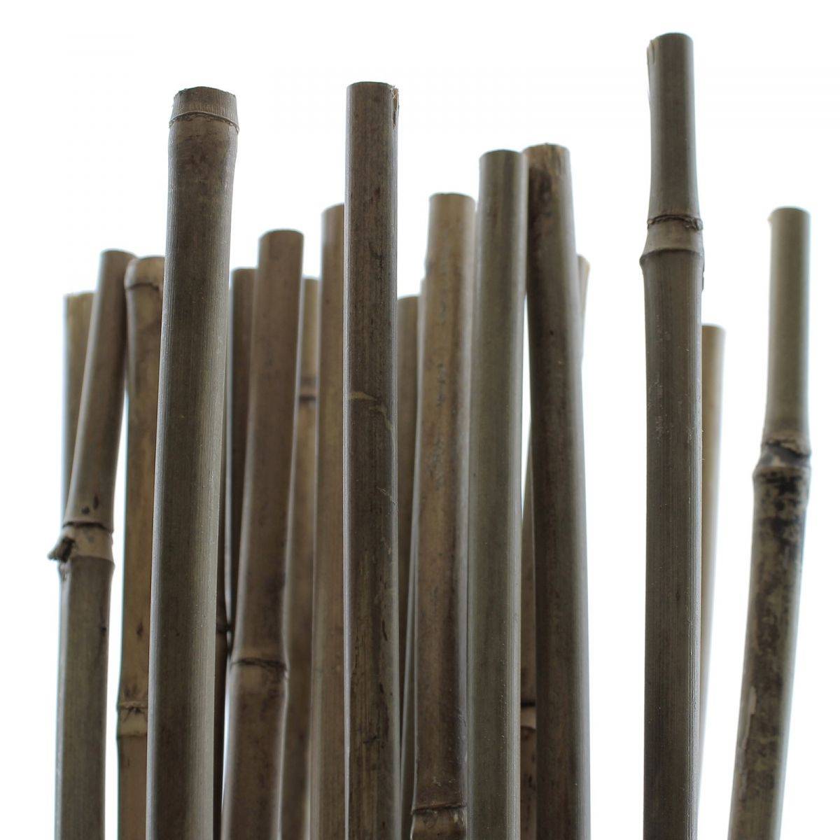 Tuteurs Bambou 120 cm - Pack de 25 pcs - Image 1