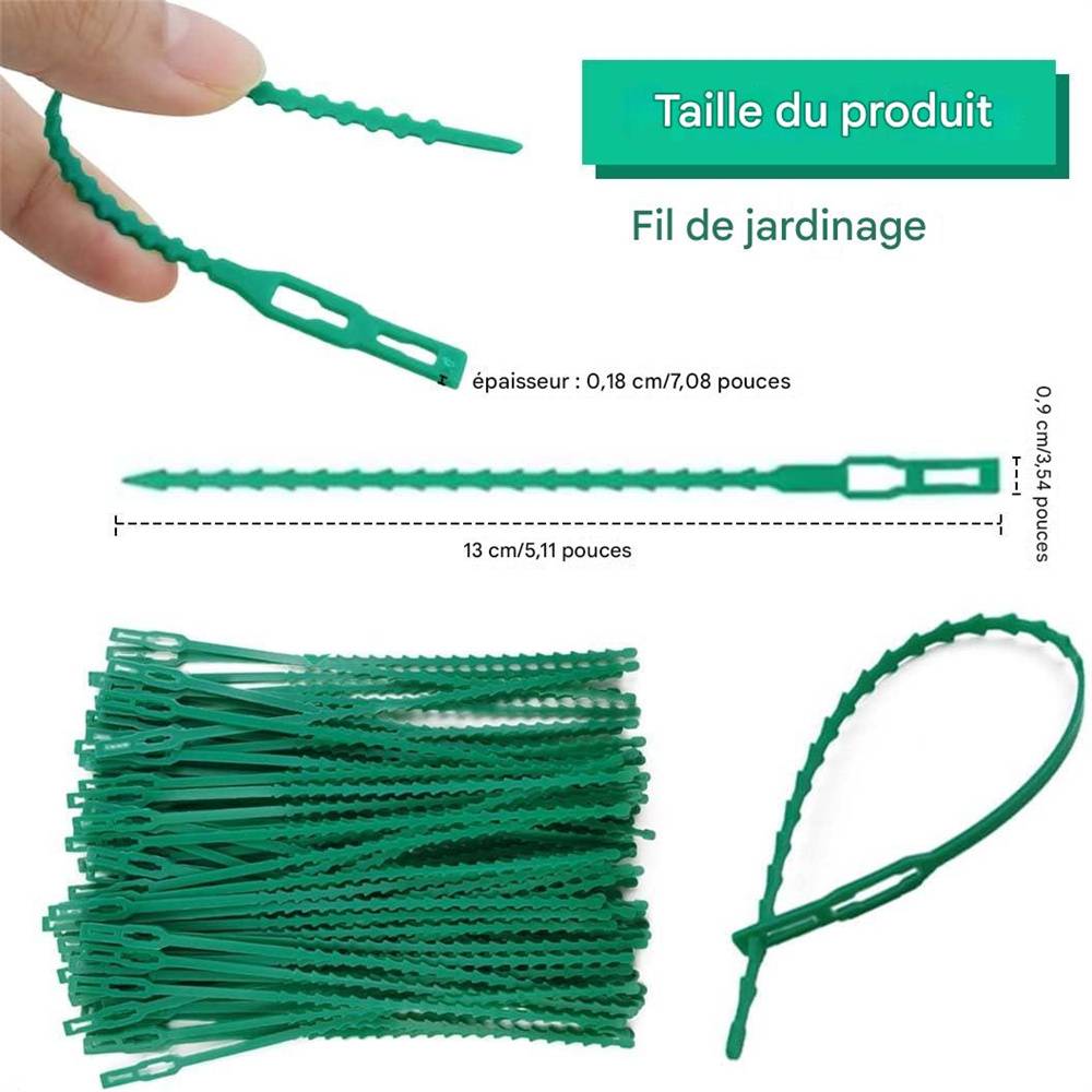 DtopbuyAge - 100 attaches pour plantes DtopbuyAge - Image 3