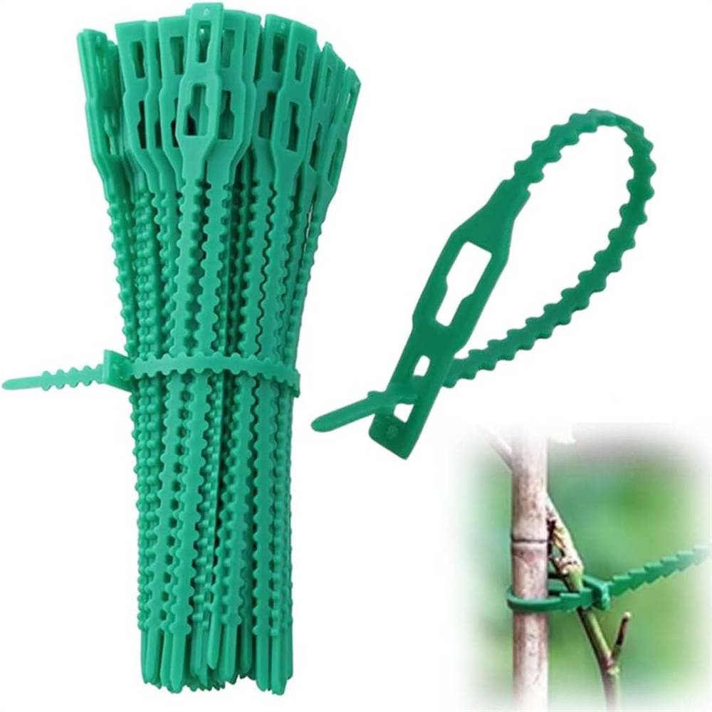 DtopbuyAge - 100 attaches pour plantes DtopbuyAge - Image 1