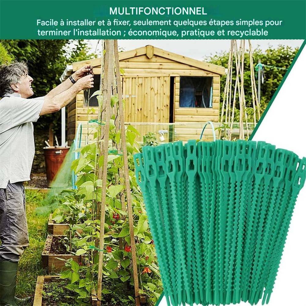 DtopbuyAge - 100 attaches pour plantes DtopbuyAge - Image 4