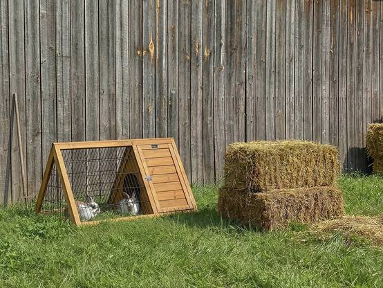 Clapier Poulailler "biscotte" - 100 X 62 X 52 Cm - Marron -habitat Et Jardin - Image 2