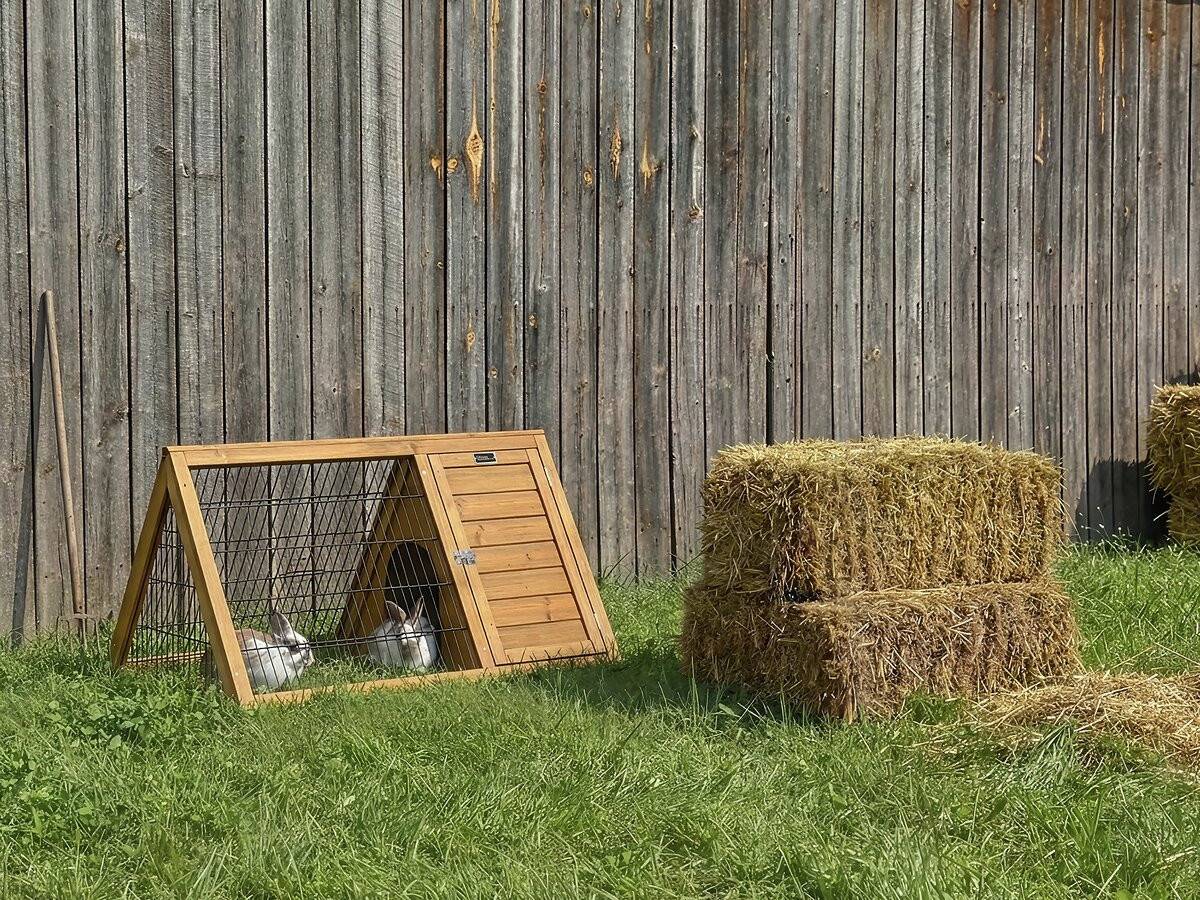 Habitat Et Jardin - Clapier Poulailler "biscotte" - 100 X 62 X 52 Cm - Marron -habitat Et Jardin - Image 2