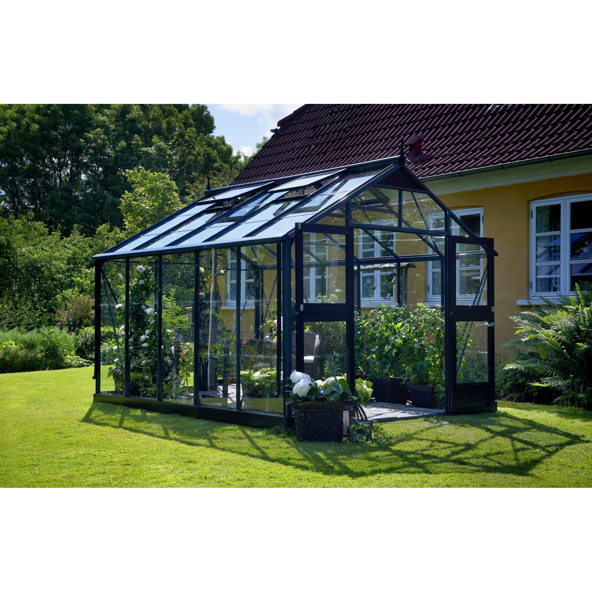 Juliana - Serre en verre trempé 10,9 m² Premium, anthracite - Juliana - Image 2
