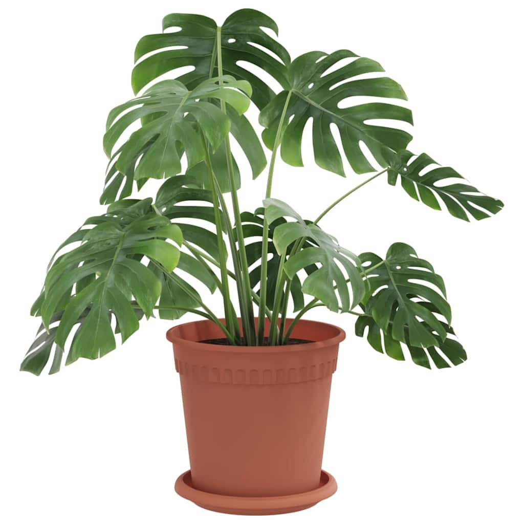 Vidaxl - Pots de plantes 24 pc Rouge brique Plastique vidaXL 3403264 - Image 4