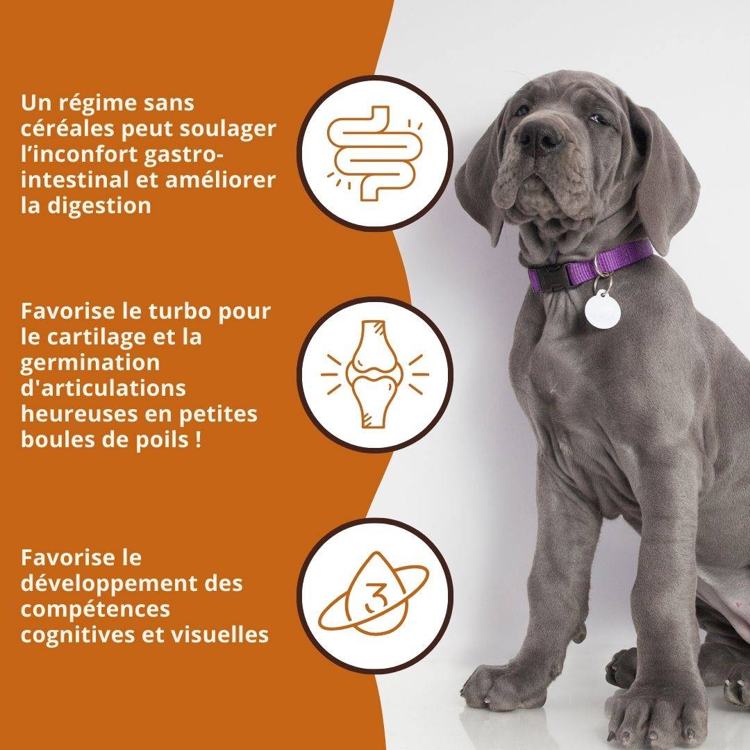 Wildfang - Wildfang — Pack chiot « Bienvenue chiot » - pour les grands chiens de plus de 25 kg - Image 4