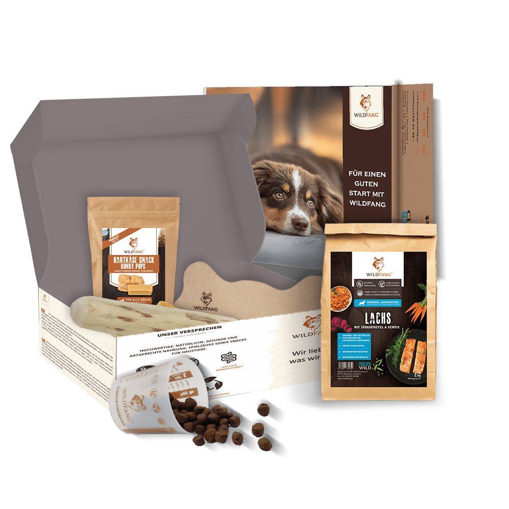 Wildfang - Wildfang — Pack chiot « Bienvenue chiot » - pour les grands chiens de plus de 25 kg - Image 1