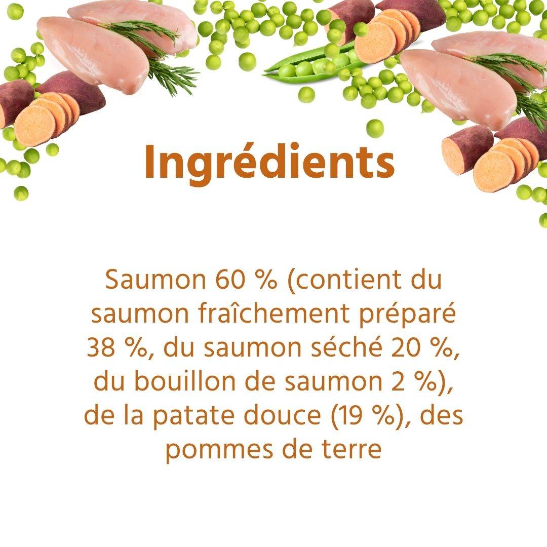 Wildfang - Wildfang — Pack chiot « Bienvenue chiot » - pour les grands chiens de plus de 25 kg - Image 3