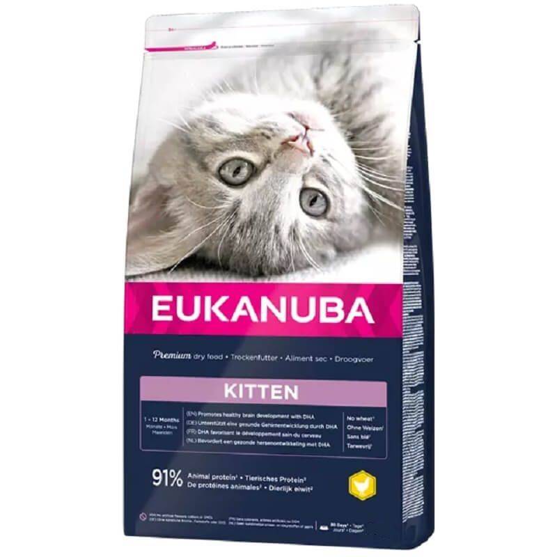 Eukanuba - Croquettes Chaton - Eukanuba Kitten Healthy Start 10 kg