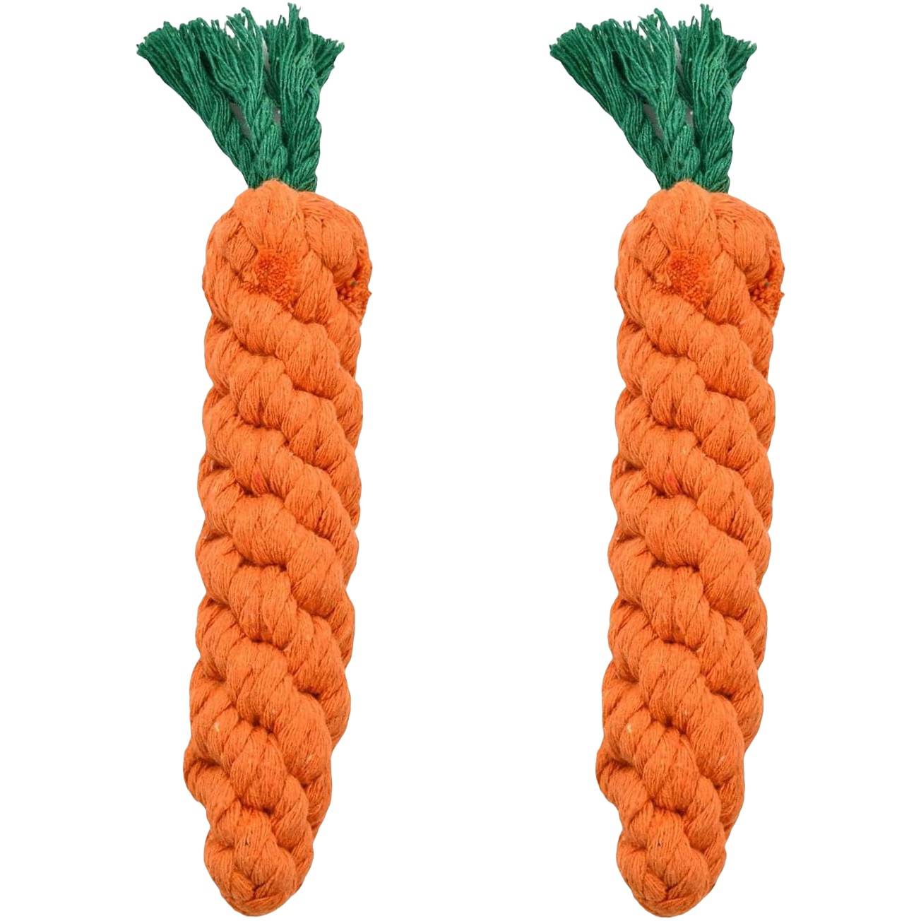 DtopbuyAge - Lot de 2 jouets à mâcher pour petits chiens – Carottes en corde tressée DtopbuyAge - Image 1