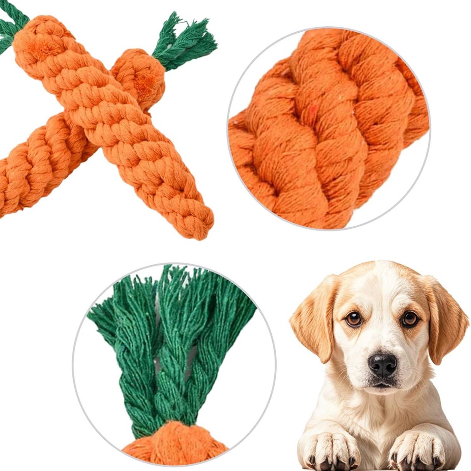 DtopbuyAge - Lot de 2 jouets à mâcher pour petits chiens – Carottes en corde tressée DtopbuyAge - Image 2