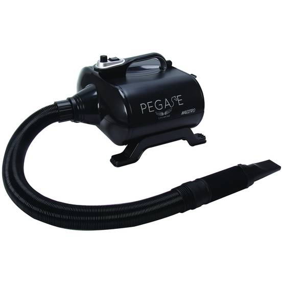 Séchoir-Pulseur Maestro Portable PEGASE UNIVERSAL