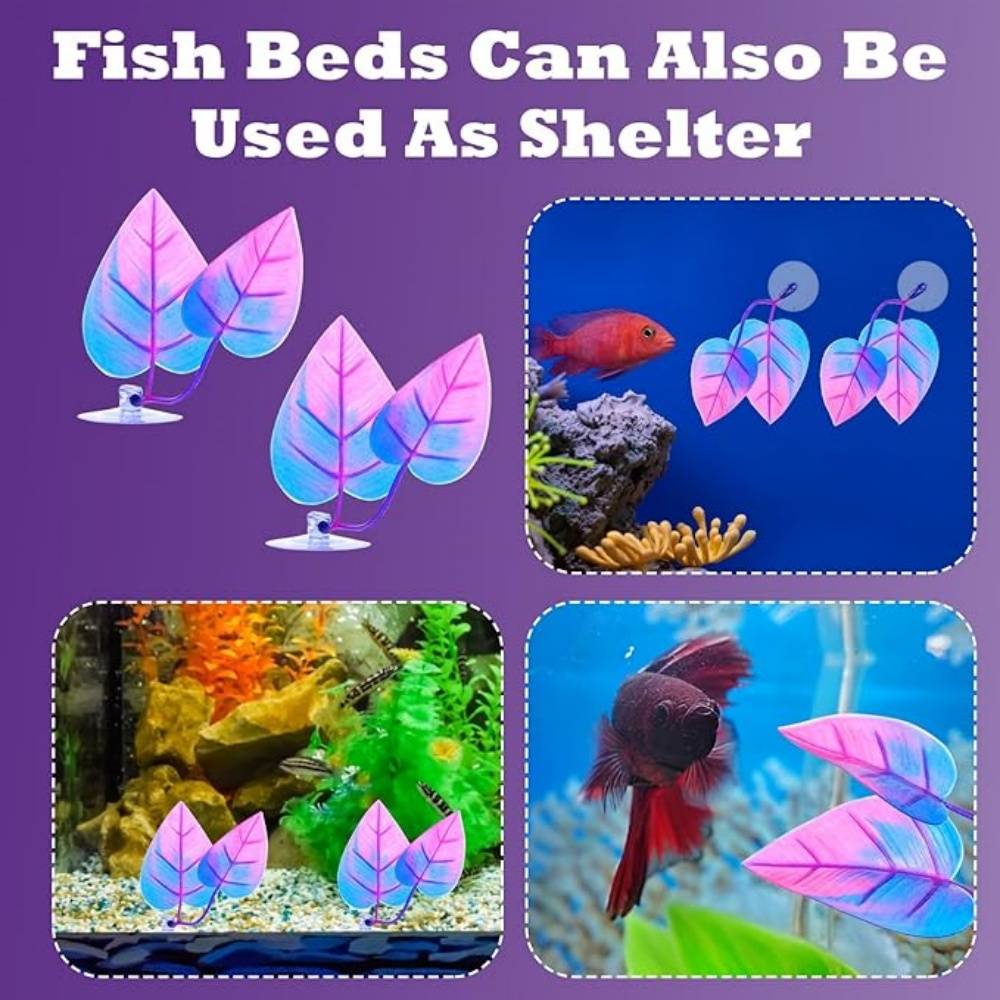Lot de 2 accessoires pratiques pour aquarium DtopbuyAge - Image 3
