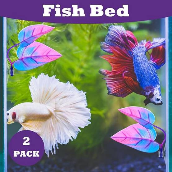 Lot de 2 accessoires pratiques pour aquarium DtopbuyAge - Image 2