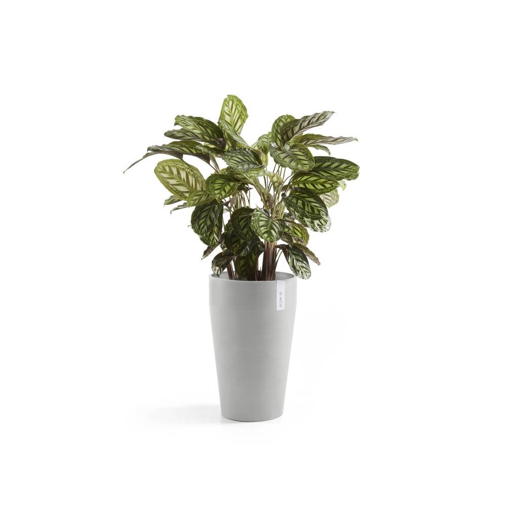 Ecopots - Pot Haut Sankara 55 Blanc Gris - Ø 35 x H. 55 cm - 36 L ECOPOTS - Image 3