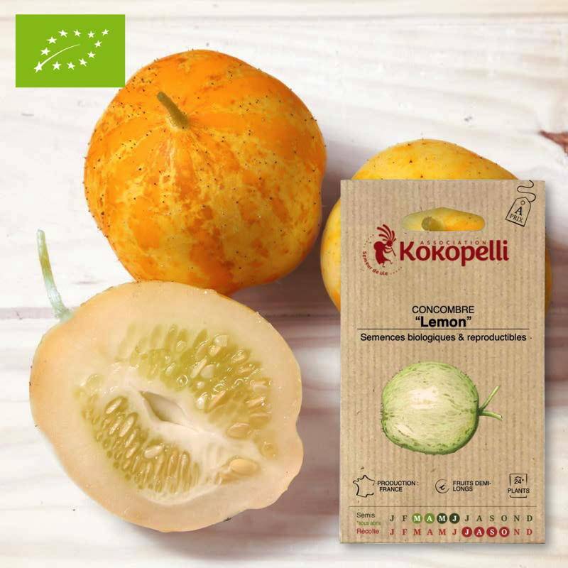 Concombre Lemon- Graines bio à semer - Image 1