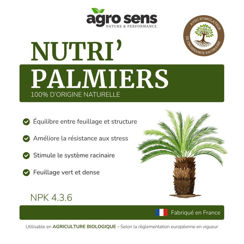 Nutri Palmiers - Engrais liquide pour palmiers et yuccas - 500 ml (250 litres de préparation) - Image 4