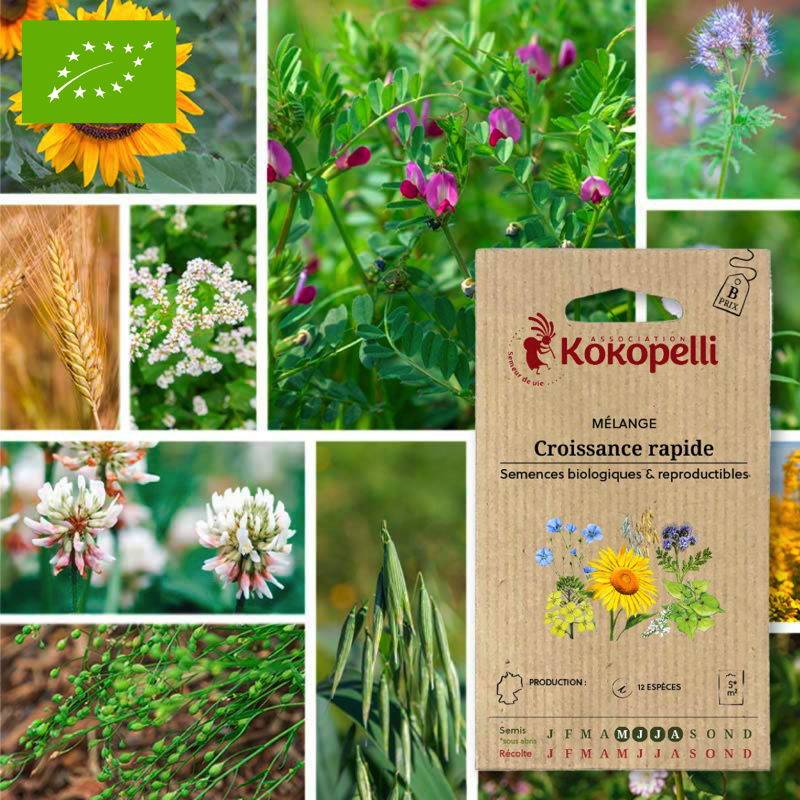 Graines bio à semer - Mélange Croissance rapide- Association Kokopelli