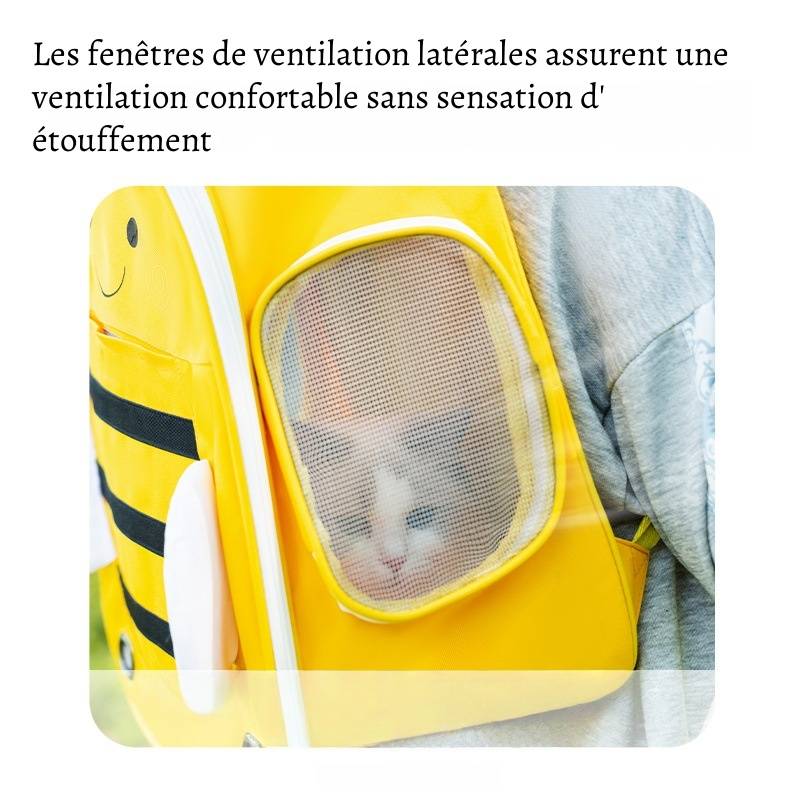 Sac à dos pour chat mignon et spacieux DtopbuyAge - Image 4