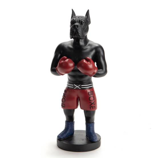 Amadeus - Chien boxer boxe