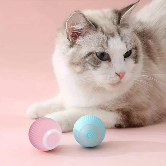 IntiMeg - Jouet pour chat balle roulante électrique Bleu IntiMeg - Image 2