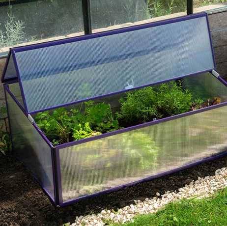 Vitavia - Mini serre Levana 1 - Structure 0.5m² en alu et polycarbonate 4 mm, Couleur Vert - Image 3